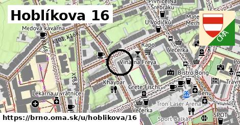 Hoblíkova 16, Brno