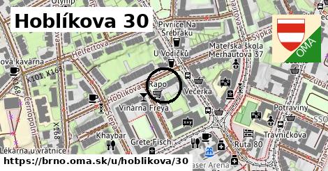 Hoblíkova 30, Brno