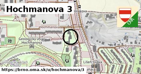 Hochmanova 3, Brno