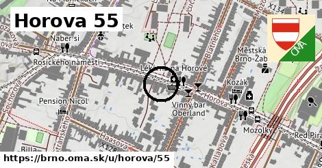 Horova 55, Brno