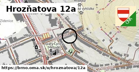 Hrozňatova 12a, Brno