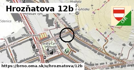 Hrozňatova 12b, Brno