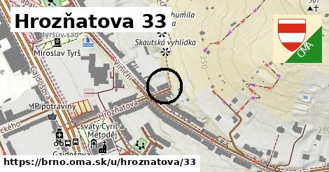 Hrozňatova 33, Brno