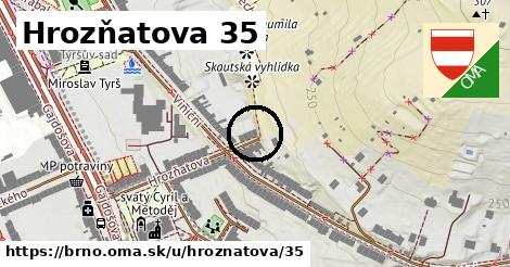 Hrozňatova 35, Brno