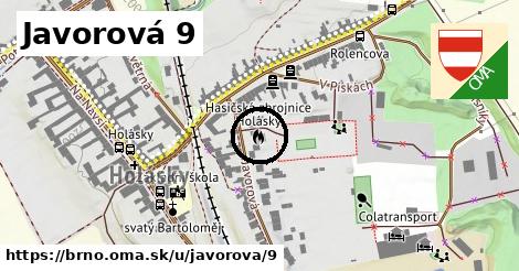 Javorová 9, Brno