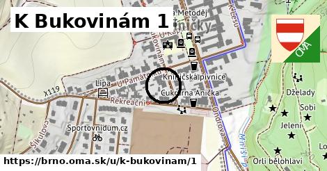 K Bukovinám 1, Brno