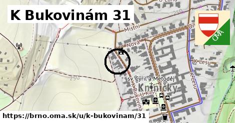 K Bukovinám 31, Brno