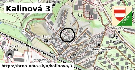 Kalinová 3, Brno