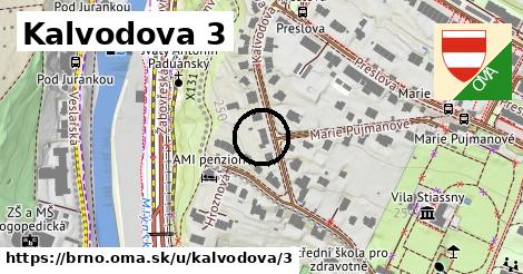 Kalvodova 3, Brno