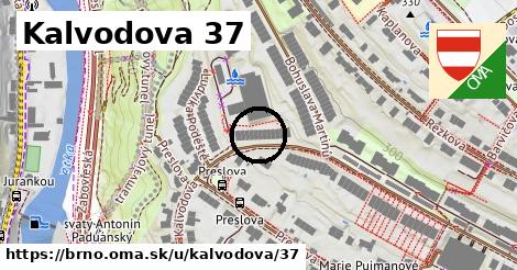 Kalvodova 37, Brno