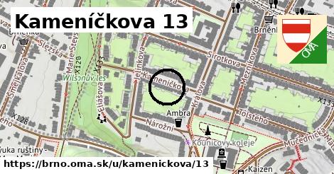 Kameníčkova 13, Brno