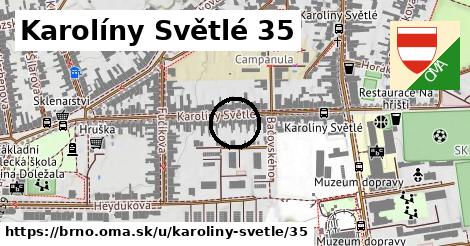 Karolíny Světlé 35, Brno