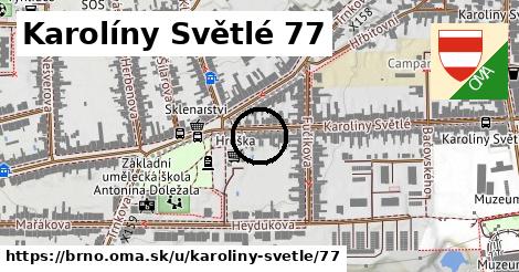 Karolíny Světlé 77, Brno