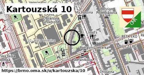 Kartouzská 10, Brno