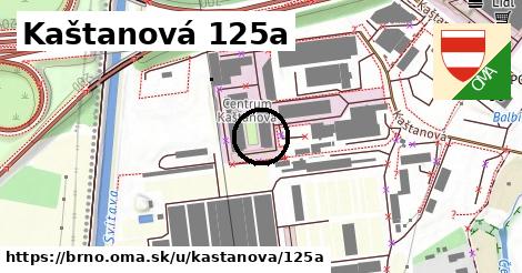 Kaštanová 125a, Brno