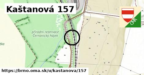 Kaštanová 157, Brno