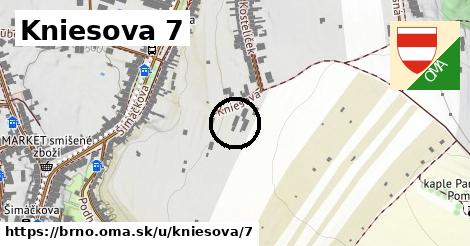 Kniesova 7, Brno