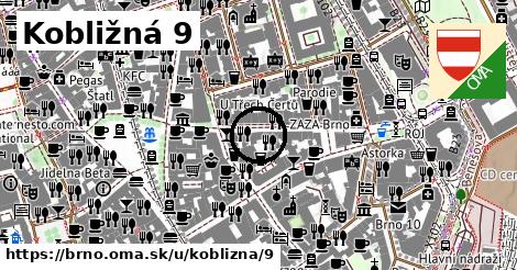 Kobližná 9, Brno