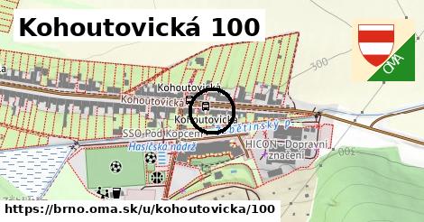 Kohoutovická 100, Brno