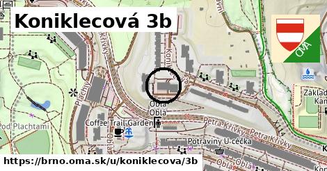 Koniklecová 3b, Brno