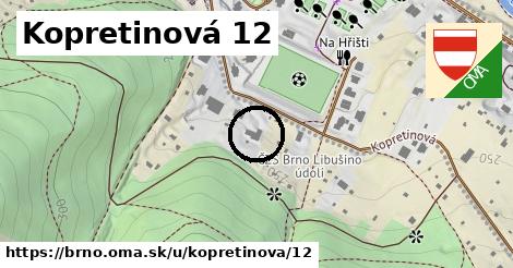 Kopretinová 12, Brno