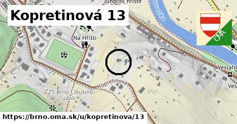 Kopretinová 13, Brno