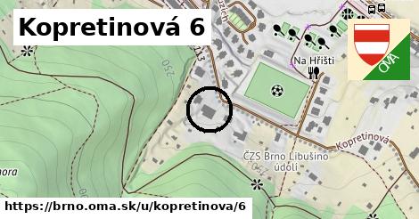 Kopretinová 6, Brno