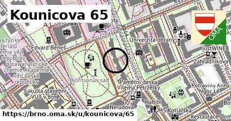 Kounicova 65, Brno