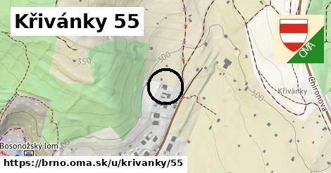 Křivánky 55, Brno