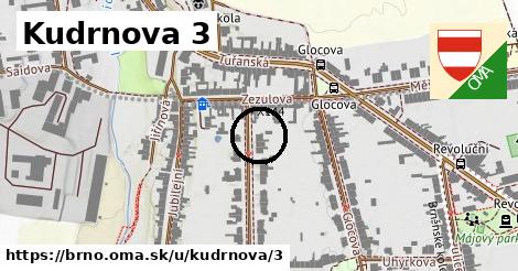 Kudrnova 3, Brno