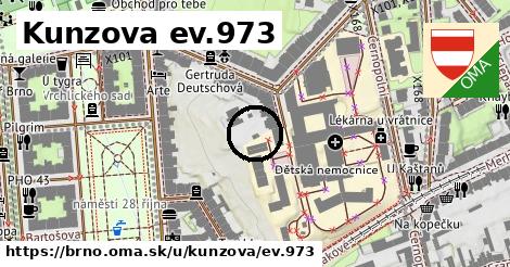 Kunzova ev.973, Brno