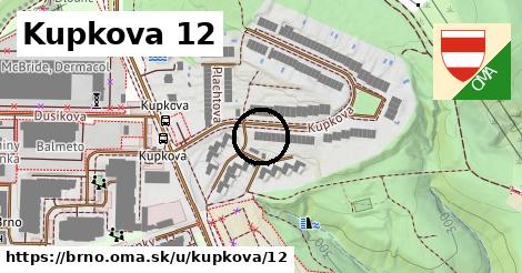 Kupkova 12, Brno