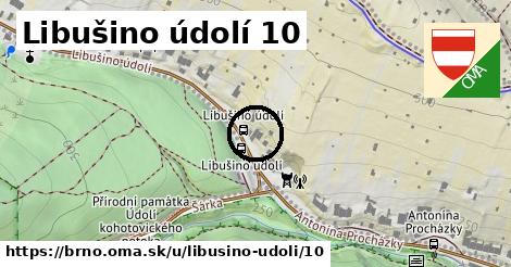 Libušino údolí 10, Brno