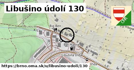 Libušino údolí 130, Brno