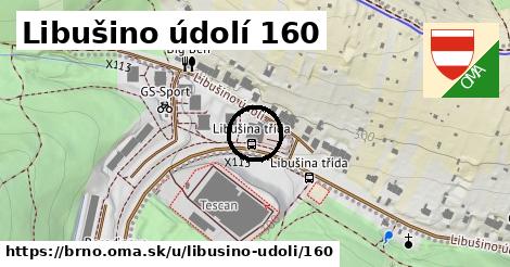 Libušino údolí 160, Brno