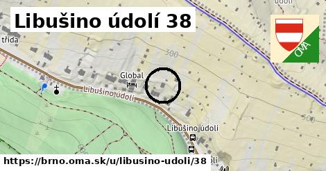 Libušino údolí 38, Brno