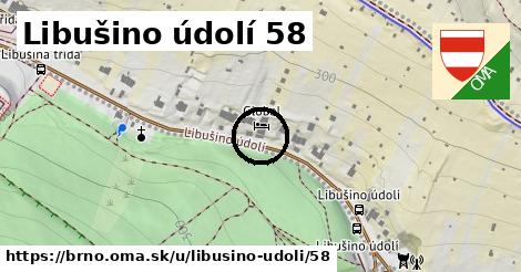 Libušino údolí 58, Brno