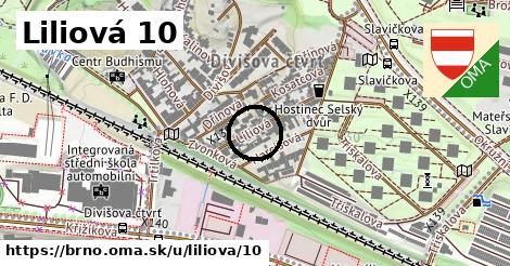 Liliová 10, Brno