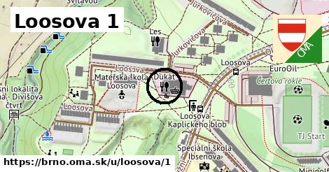 Loosova 1, Brno