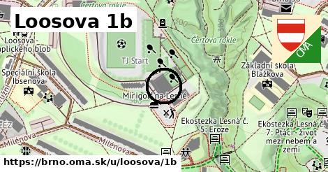 Loosova 1b, Brno