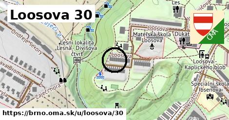 Loosova 30, Brno