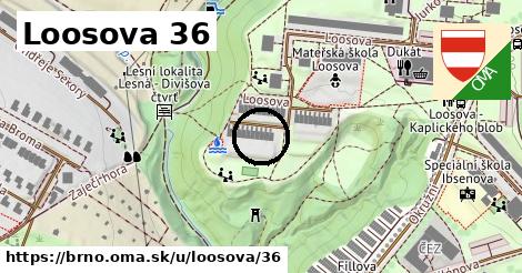 Loosova 36, Brno