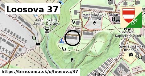 Loosova 37, Brno