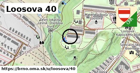 Loosova 40, Brno