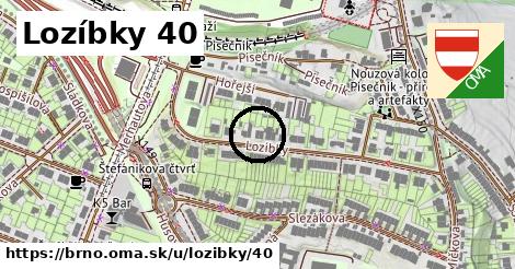 Lozíbky 40, Brno