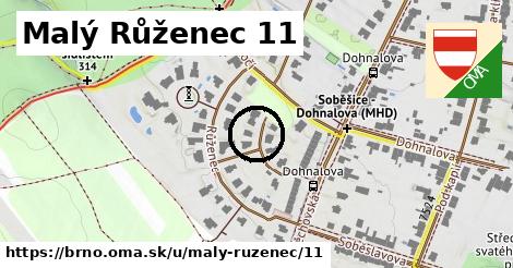 Malý Růženec 11, Brno