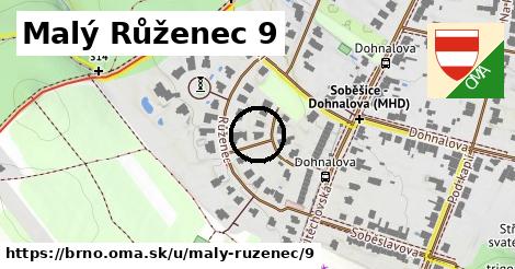 Malý Růženec 9, Brno