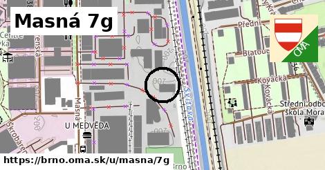 Masná 7g, Brno