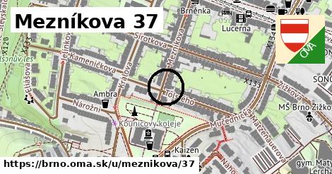 Mezníkova 37, Brno