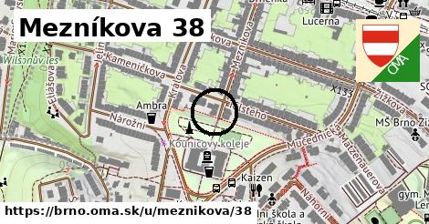 Mezníkova 38, Brno